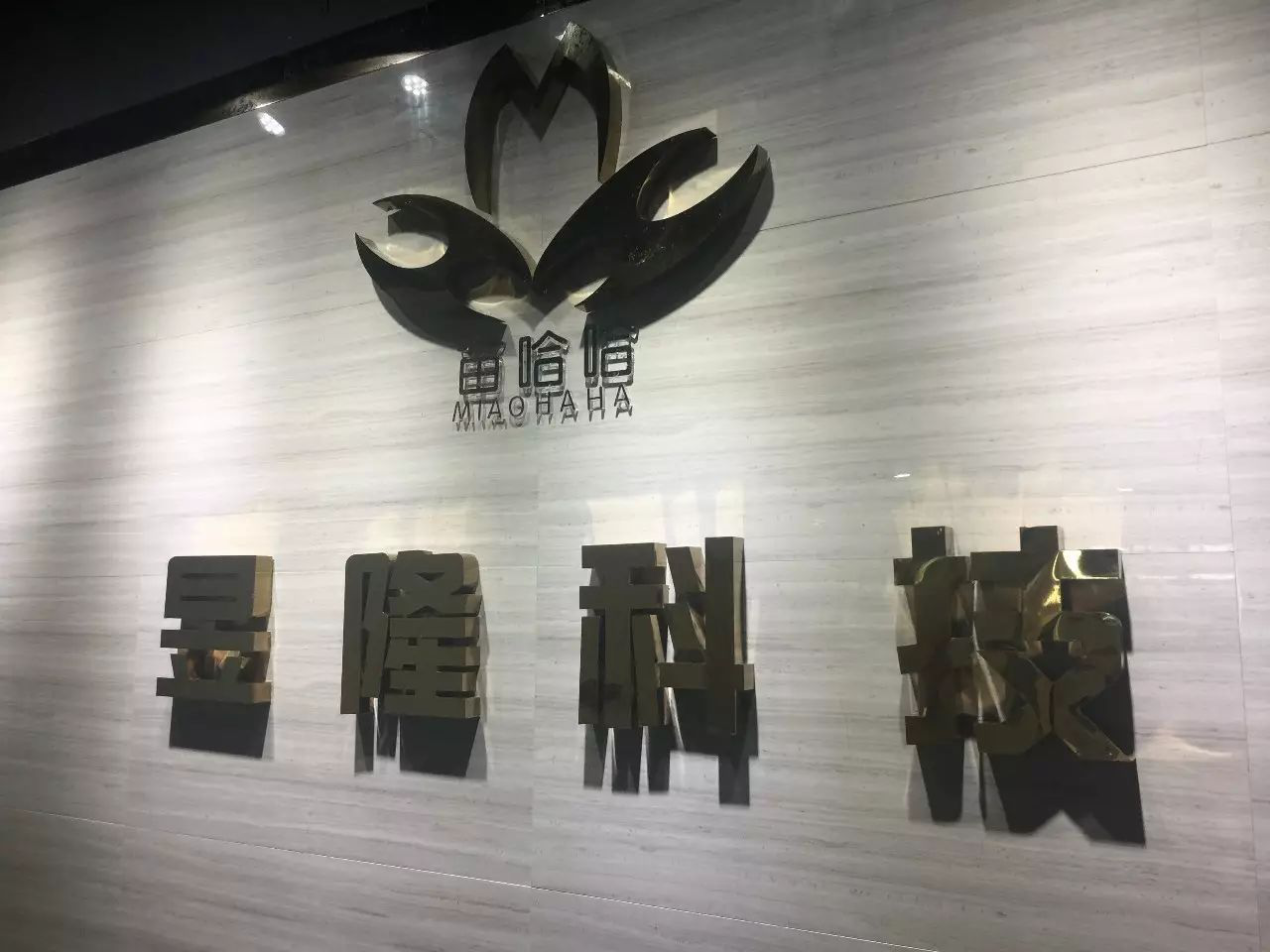 海南昱隆科技开发有限公司顺利召开知识产权管理规范贯标工作推进会 